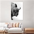 Picture of Buffalo Bill _GroupedProduct_Rectangle_Portrait_Photography _GroupedProduct_Rectangle_Portrait_Canvas_