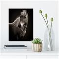 Picture of Ebony, the Horse _GroupedProduct_Rectangle_Portrait_Photography _GroupedProduct_Rectangle_Portrait_Canvas_