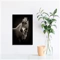 Picture of Ebony, the Horse _GroupedProduct_Rectangle_Portrait_Photography _GroupedProduct_Rectangle_Portrait_Canvas_