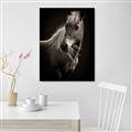 Picture of Ebony, the Horse _GroupedProduct_Rectangle_Portrait_Photography _GroupedProduct_Rectangle_Portrait_Canvas_