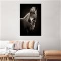 Picture of Ebony, the Horse _GroupedProduct_Rectangle_Portrait_Photography _GroupedProduct_Rectangle_Portrait_Canvas_