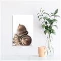 Picture of Fallen Acorns _GroupedProduct_Rectangle_Portrait_Photography _GroupedProduct_Rectangle_Portrait_Canvas_