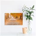 Picture of Falling Leaves  _GroupedProduct_Rectangle_Landscape_Photography _GroupedProduct_Rectangle_Landscape_Canvas_