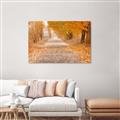 Picture of Falling Leaves  _GroupedProduct_Rectangle_Landscape_Photography _GroupedProduct_Rectangle_Landscape_Canvas_