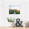 Picture of Field of Dreams   _GroupedProduct_Rectangle_Landscape_Photography _GroupedProduct_Rectangle_Landscape_Canvas_