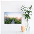 Picture of Field of Dreams   _GroupedProduct_Rectangle_Landscape_Photography _GroupedProduct_Rectangle_Landscape_Canvas_