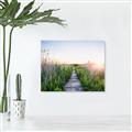 Picture of Field of Dreams   _GroupedProduct_Rectangle_Landscape_Photography _GroupedProduct_Rectangle_Landscape_Canvas_