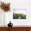 Picture of Field of Dreams   _GroupedProduct_Rectangle_Landscape_Photography _GroupedProduct_Rectangle_Landscape_Canvas_