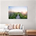 Picture of Field of Dreams   _GroupedProduct_Rectangle_Landscape_Photography _GroupedProduct_Rectangle_Landscape_Canvas_