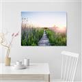 Picture of Field of Dreams   _GroupedProduct_Rectangle_Landscape_Photography _GroupedProduct_Rectangle_Landscape_Canvas_
