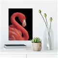 Picture of Flamingo Flame _GroupedProduct_Rectangle_Portrait_Photography _GroupedProduct_Rectangle_Portrait_Canvas_