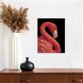 Picture of Flamingo Flame _GroupedProduct_Rectangle_Portrait_Photography _GroupedProduct_Rectangle_Portrait_Canvas_