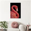 Picture of Flamingo Flame _GroupedProduct_Rectangle_Portrait_Photography _GroupedProduct_Rectangle_Portrait_Canvas_