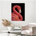 Picture of Flamingo Flame _GroupedProduct_Rectangle_Portrait_Photography _GroupedProduct_Rectangle_Portrait_Canvas_
