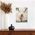 Picture of Furry Cow _GroupedProduct_Rectangle_Portrait_Photography _GroupedProduct_Rectangle_Portrait_Canvas_