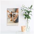 Picture of Giraffe Pals  _GroupedProduct_Rectangle_Portrait_Photography _GroupedProduct_Rectangle_Portrait_Canvas_