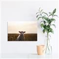 Picture of Grazing Sheep  _GroupedProduct_Rectangle_Landscape_Photography _GroupedProduct_Rectangle_Landscape_Canvas_