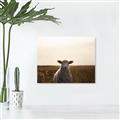 Picture of Grazing Sheep  _GroupedProduct_Rectangle_Landscape_Photography _GroupedProduct_Rectangle_Landscape_Canvas_