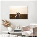 Picture of Grazing Sheep  _GroupedProduct_Rectangle_Landscape_Photography _GroupedProduct_Rectangle_Landscape_Canvas_