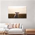 Picture of Grazing Sheep  _GroupedProduct_Rectangle_Landscape_Photography _GroupedProduct_Rectangle_Landscape_Canvas_