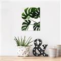 Picture of Green Palms _GroupedProduct_Rectangle_Portrait_Photography _GroupedProduct_Rectangle_Portrait_Canvas_