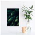 Picture of Greenleaf I _GroupedProduct_Rectangle_Portrait_Photography _GroupedProduct_Rectangle_Portrait_Canvas_
