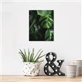 Picture of Greenleaf II _GroupedProduct_Rectangle_Portrait_Photography _GroupedProduct_Rectangle_Portrait_Canvas_