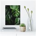 Picture of Greenleaf II _GroupedProduct_Rectangle_Portrait_Photography _GroupedProduct_Rectangle_Portrait_Canvas_