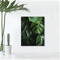 Picture of Greenleaf II _GroupedProduct_Rectangle_Portrait_Photography _GroupedProduct_Rectangle_Portrait_Canvas_