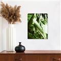 Picture of Greenleaf III _GroupedProduct_Rectangle_Portrait_Photography _GroupedProduct_Rectangle_Portrait_Canvas_