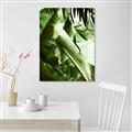 Picture of Greenleaf III _GroupedProduct_Rectangle_Portrait_Photography _GroupedProduct_Rectangle_Portrait_Canvas_