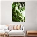 Picture of Greenleaf III _GroupedProduct_Rectangle_Portrait_Photography _GroupedProduct_Rectangle_Portrait_Canvas_