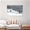 Picture of High Pines  _GroupedProduct_Rectangle_Landscape_Photography _GroupedProduct_Rectangle_Landscape_Canvas_