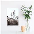 Picture of In the Fields _GroupedProduct_Rectangle_Portrait_Photography _GroupedProduct_Rectangle_Portrait_Canvas_