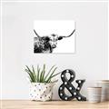 Picture of Jackson, The Bull  _GroupedProduct_Rectangle_Landscape_Photography _GroupedProduct_Rectangle_Landscape_Canvas_