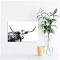 Picture of Jackson, The Bull  _GroupedProduct_Rectangle_Landscape_Photography _GroupedProduct_Rectangle_Landscape_Canvas_