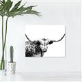 Picture of Jackson, The Bull  _GroupedProduct_Rectangle_Landscape_Photography _GroupedProduct_Rectangle_Landscape_Canvas_