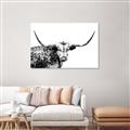 Picture of Jackson, The Bull  _GroupedProduct_Rectangle_Landscape_Photography _GroupedProduct_Rectangle_Landscape_Canvas_