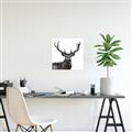 Picture of James, the Stag  _GroupedProduct_Square_Photography _GroupedProduct_Square_Canvas_