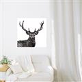 Picture of James, the Stag  _GroupedProduct_Square_Photography _GroupedProduct_Square_Canvas_