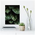 Picture of Jungle Leaves  _GroupedProduct_Rectangle_Portrait_Photography _GroupedProduct_Rectangle_Portrait_Canvas_