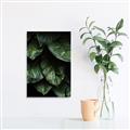 Picture of Jungle Leaves  _GroupedProduct_Rectangle_Portrait_Photography _GroupedProduct_Rectangle_Portrait_Canvas_