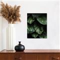Picture of Jungle Leaves  _GroupedProduct_Rectangle_Portrait_Photography _GroupedProduct_Rectangle_Portrait_Canvas_