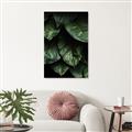 Picture of Jungle Leaves  _GroupedProduct_Rectangle_Portrait_Photography _GroupedProduct_Rectangle_Portrait_Canvas_