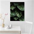 Picture of Jungle Leaves  _GroupedProduct_Rectangle_Portrait_Photography _GroupedProduct_Rectangle_Portrait_Canvas_