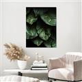 Picture of Jungle Leaves  _GroupedProduct_Rectangle_Portrait_Photography _GroupedProduct_Rectangle_Portrait_Canvas_