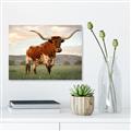 Picture of Life of a Bull _GroupedProduct_Rectangle_Landscape_Photography _GroupedProduct_Rectangle_Landscape_Canvas_