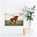 Picture of Life of a Bull _GroupedProduct_Rectangle_Landscape_Photography _GroupedProduct_Rectangle_Landscape_Canvas_