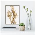 Picture of Dried Eucalyptus   _GroupedProduct_Rectangle_Portrait_Photography _GroupedProduct_Rectangle_Portrait_Canvas_Framed_