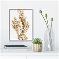 Picture of Dried Eucalyptus   _GroupedProduct_Rectangle_Portrait_Photography _GroupedProduct_Rectangle_Portrait_Canvas_Framed_